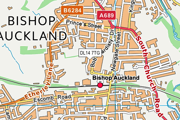 Town Recreation Ground map (DL14 7TG) - OS VectorMap District (Ordnance Survey)