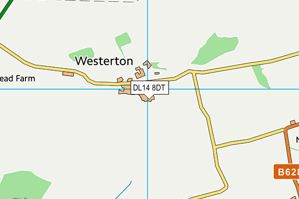 DL14 8DT map - OS VectorMap District (Ordnance Survey)