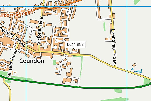 DL14 8NS map - OS VectorMap District (Ordnance Survey)