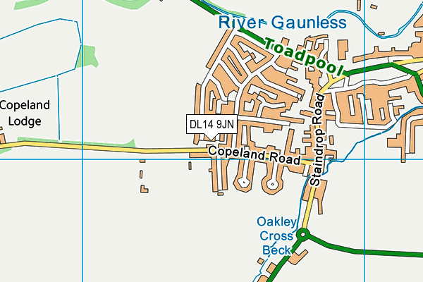 DL14 9JN map - OS VectorMap District (Ordnance Survey)