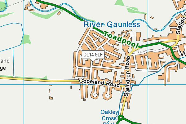 DL14 9LF map - OS VectorMap District (Ordnance Survey)