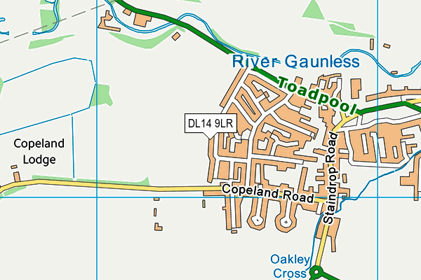 DL14 9LR map - OS VectorMap District (Ordnance Survey)