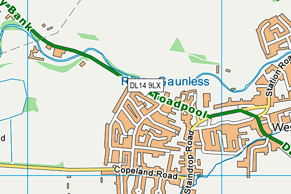 DL14 9LX map - OS VectorMap District (Ordnance Survey)