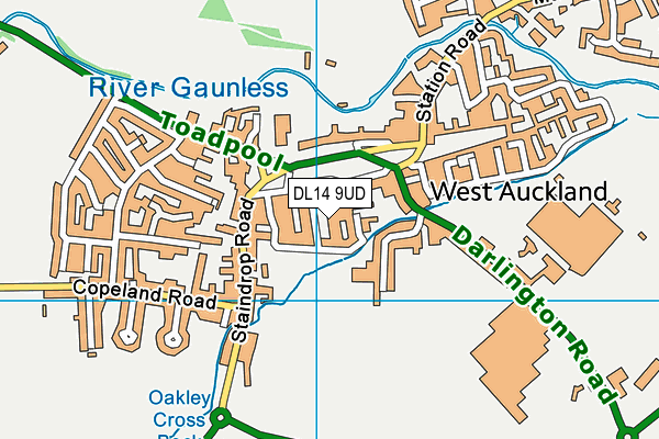 Oakley Cross Primary School and Nursery map (DL14 9UD) - OS VectorMap District (Ordnance Survey)
