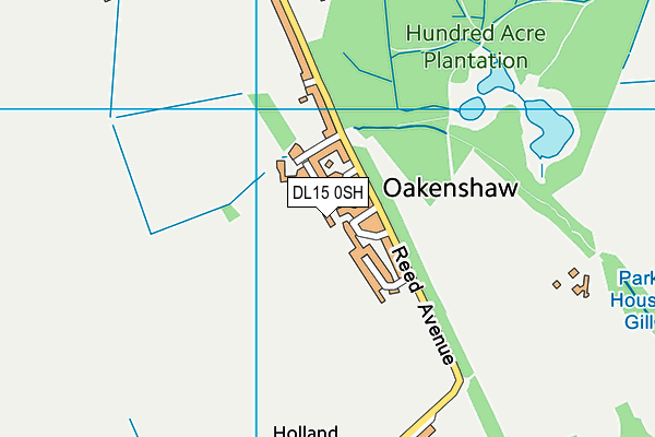 DL15 0SH map - OS VectorMap District (Ordnance Survey)