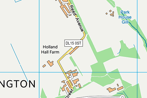 DL15 0ST map - OS VectorMap District (Ordnance Survey)