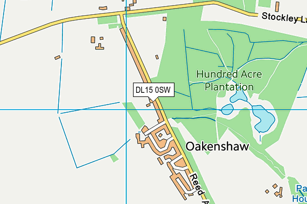 DL15 0SW map - OS VectorMap District (Ordnance Survey)