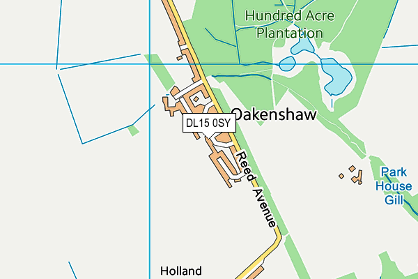 DL15 0SY map - OS VectorMap District (Ordnance Survey)