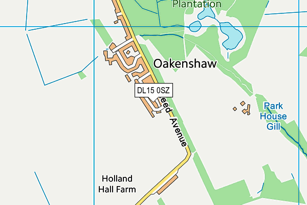 DL15 0SZ map - OS VectorMap District (Ordnance Survey)