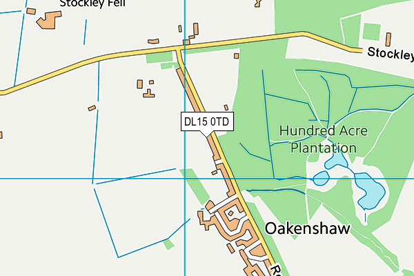 DL15 0TD map - OS VectorMap District (Ordnance Survey)