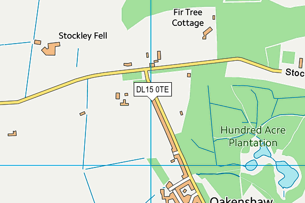 DL15 0TE map - OS VectorMap District (Ordnance Survey)