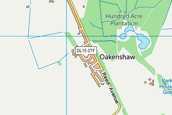 DL15 0TF map - OS VectorMap District (Ordnance Survey)