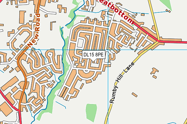 DL15 8PE map - OS VectorMap District (Ordnance Survey)