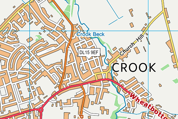 DL15 9EF map - OS VectorMap District (Ordnance Survey)