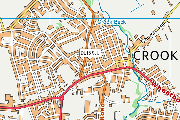 DL15 9JU map - OS VectorMap District (Ordnance Survey)