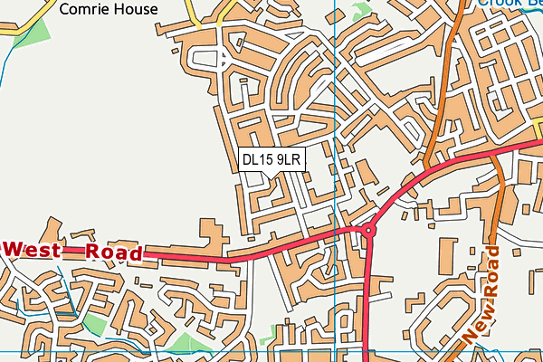 DL15 9LR map - OS VectorMap District (Ordnance Survey)