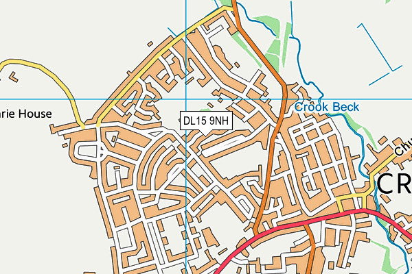 DL15 9NH map - OS VectorMap District (Ordnance Survey)