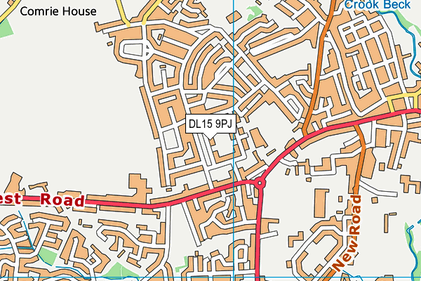 DL15 9PJ map - OS VectorMap District (Ordnance Survey)