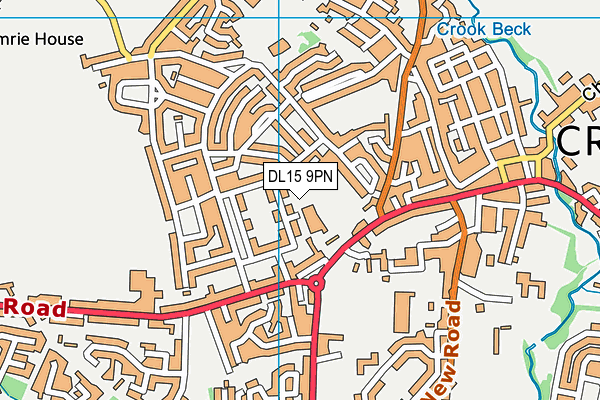 DL15 9PN map - OS VectorMap District (Ordnance Survey)