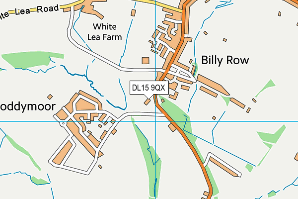 DL15 9QX map - OS VectorMap District (Ordnance Survey)
