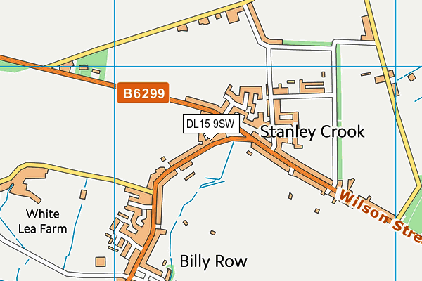 DL15 9SW map - OS VectorMap District (Ordnance Survey)