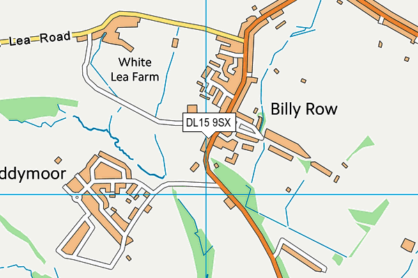 DL15 9SX map - OS VectorMap District (Ordnance Survey)
