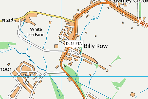 DL15 9TA map - OS VectorMap District (Ordnance Survey)
