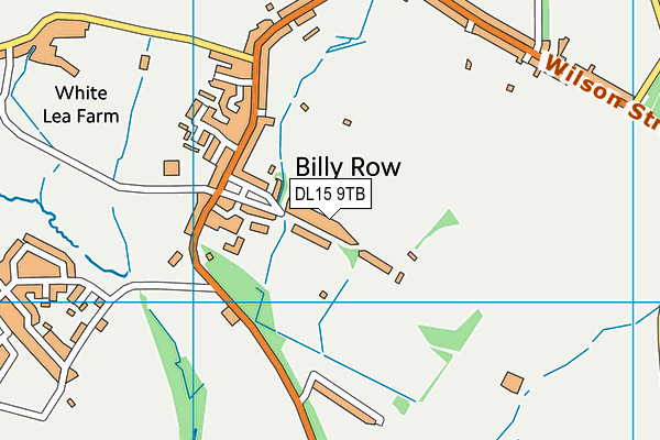 DL15 9TB map - OS VectorMap District (Ordnance Survey)