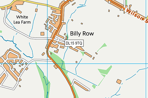 DL15 9TQ map - OS VectorMap District (Ordnance Survey)