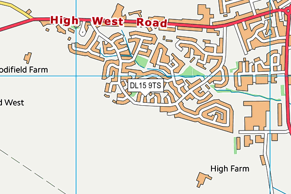 DL15 9TS map - OS VectorMap District (Ordnance Survey)