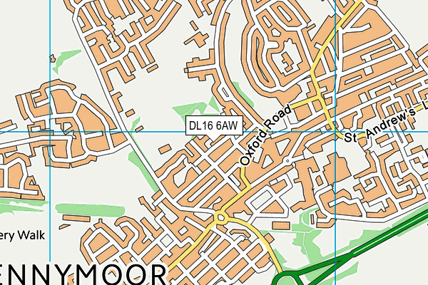 DL16 6AW map - OS VectorMap District (Ordnance Survey)