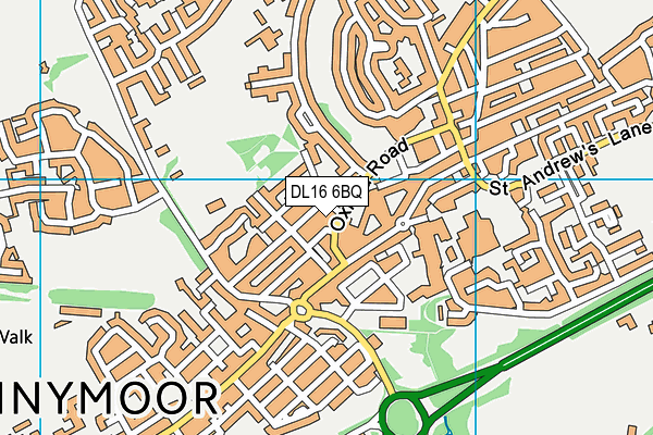 DL16 6BQ map - OS VectorMap District (Ordnance Survey)