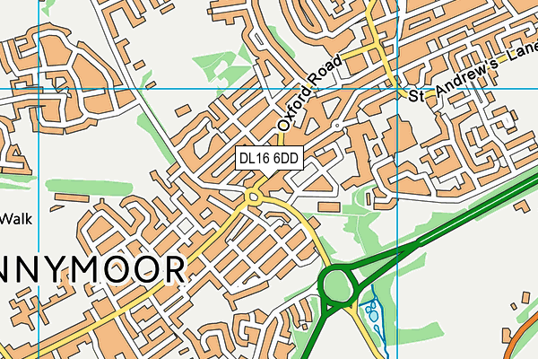 DL16 6DD map - OS VectorMap District (Ordnance Survey)
