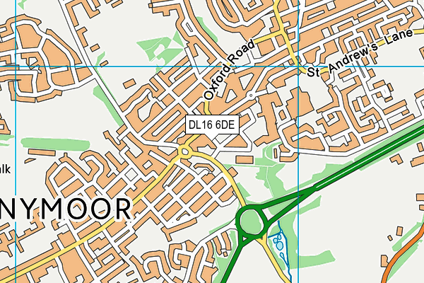 DL16 6DE map - OS VectorMap District (Ordnance Survey)