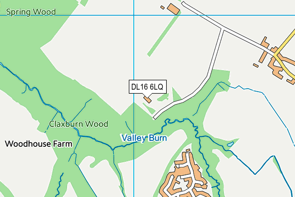 DL16 6LQ map - OS VectorMap District (Ordnance Survey)