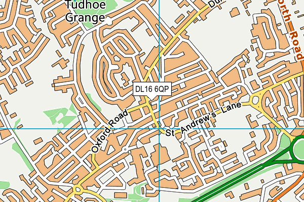 DL16 6QP map - OS VectorMap District (Ordnance Survey)