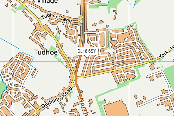 DL16 6SY map - OS VectorMap District (Ordnance Survey)