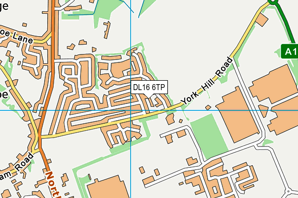 DL16 6TP map - OS VectorMap District (Ordnance Survey)
