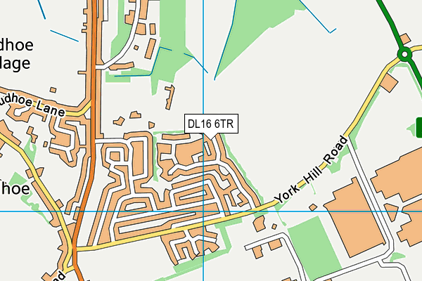 DL16 6TR map - OS VectorMap District (Ordnance Survey)