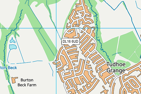 DL16 6UD map - OS VectorMap District (Ordnance Survey)