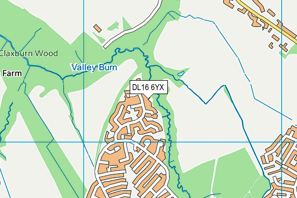 DL16 6YX map - OS VectorMap District (Ordnance Survey)