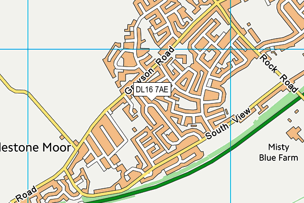 DL16 7AE map - OS VectorMap District (Ordnance Survey)