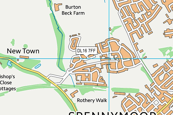 DL16 7FF map - OS VectorMap District (Ordnance Survey)