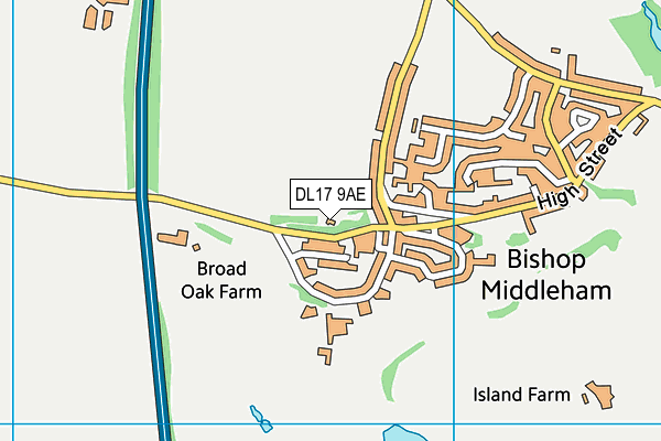 DL17 9AE map - OS VectorMap District (Ordnance Survey)