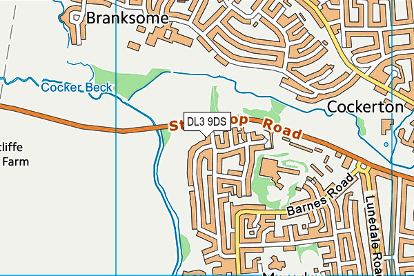 Staindrop Road Playing Field map (DL3 9DS) - OS VectorMap District (Ordnance Survey)