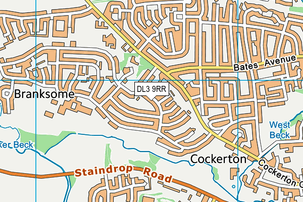 DL3 9RR map - OS VectorMap District (Ordnance Survey)