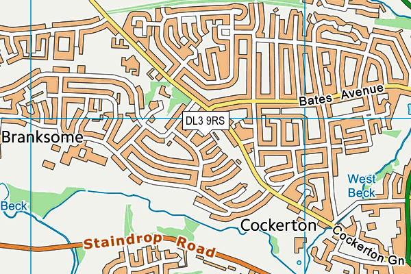 DL3 9RS map - OS VectorMap District (Ordnance Survey)