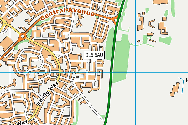 DL5 5AU map - OS VectorMap District (Ordnance Survey)