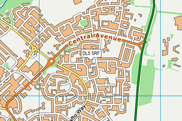 DL5 5RF map - OS VectorMap District (Ordnance Survey)