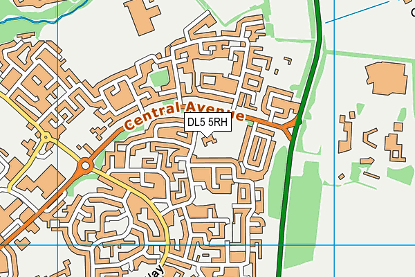 Vane Road Primary School map (DL5 5RH) - OS VectorMap District (Ordnance Survey)
